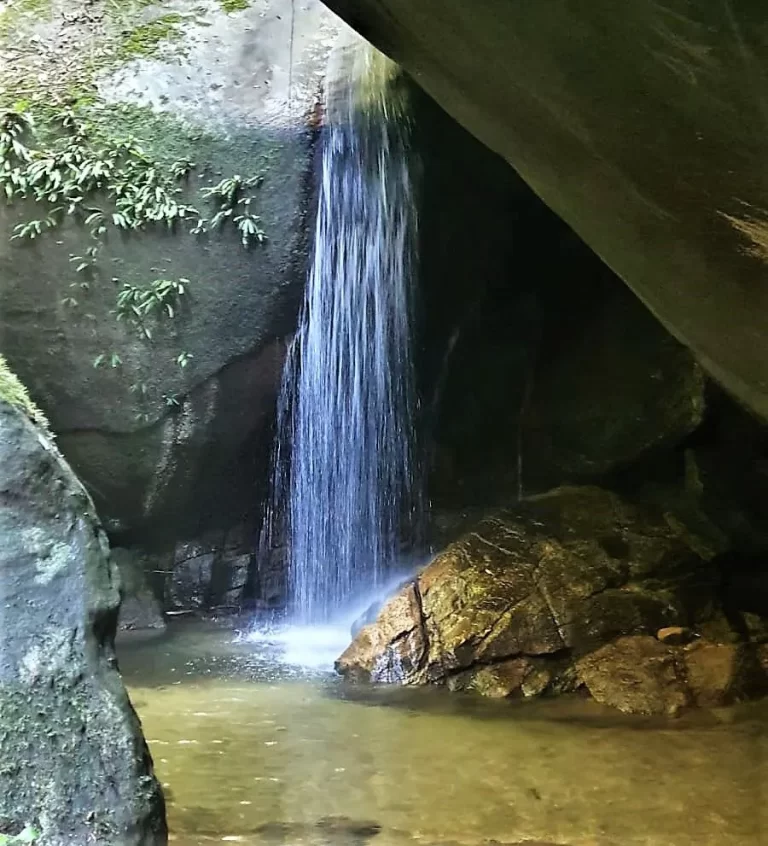 Tijuca Forest National Park